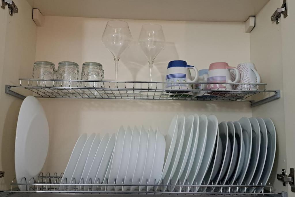 Casa Elisa Due Passi Dalla Torre Pendente 피사 외부 사진